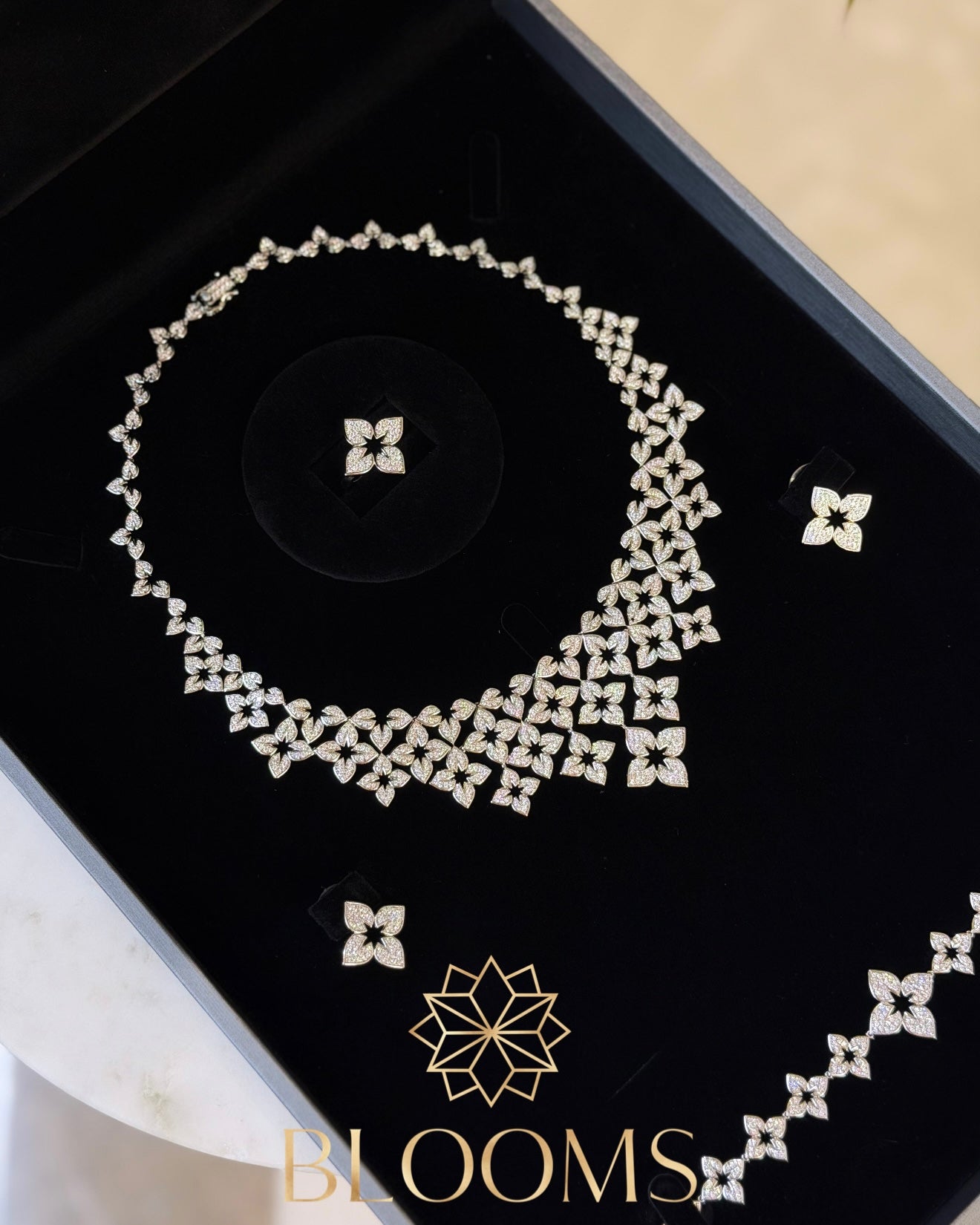 VB Silver luxury Set