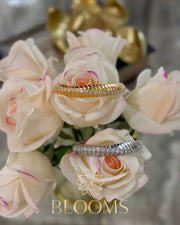 Ferre Bungle and ring