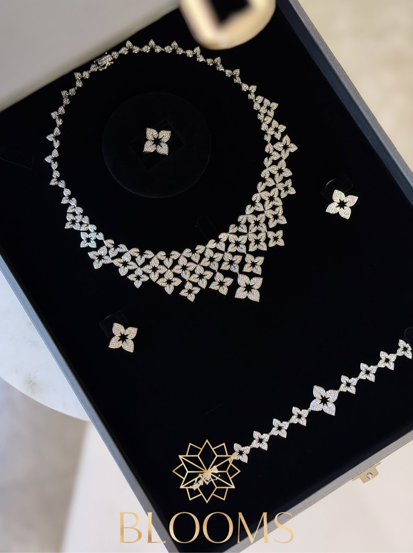 VB Silver luxury Set