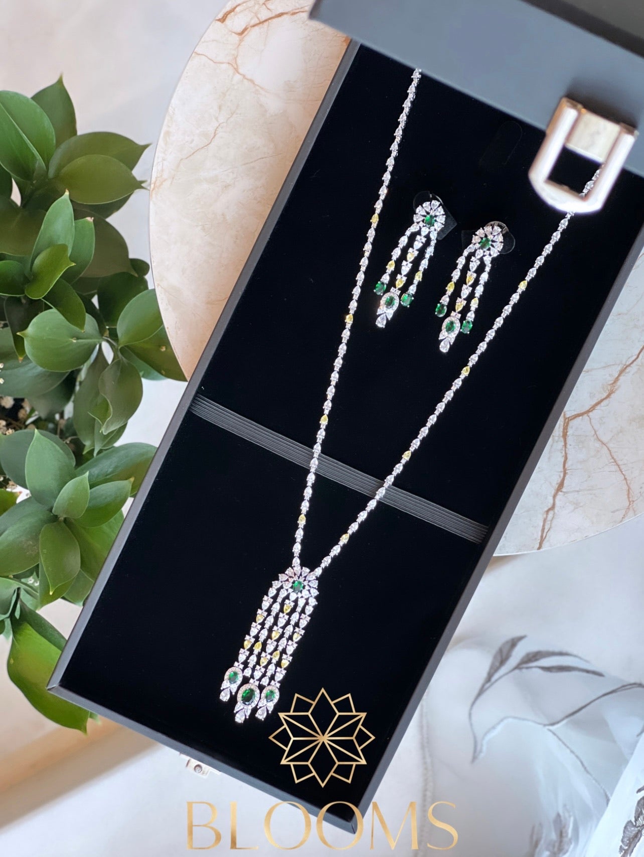 Demonda Luxury Long Necklace And Earrings